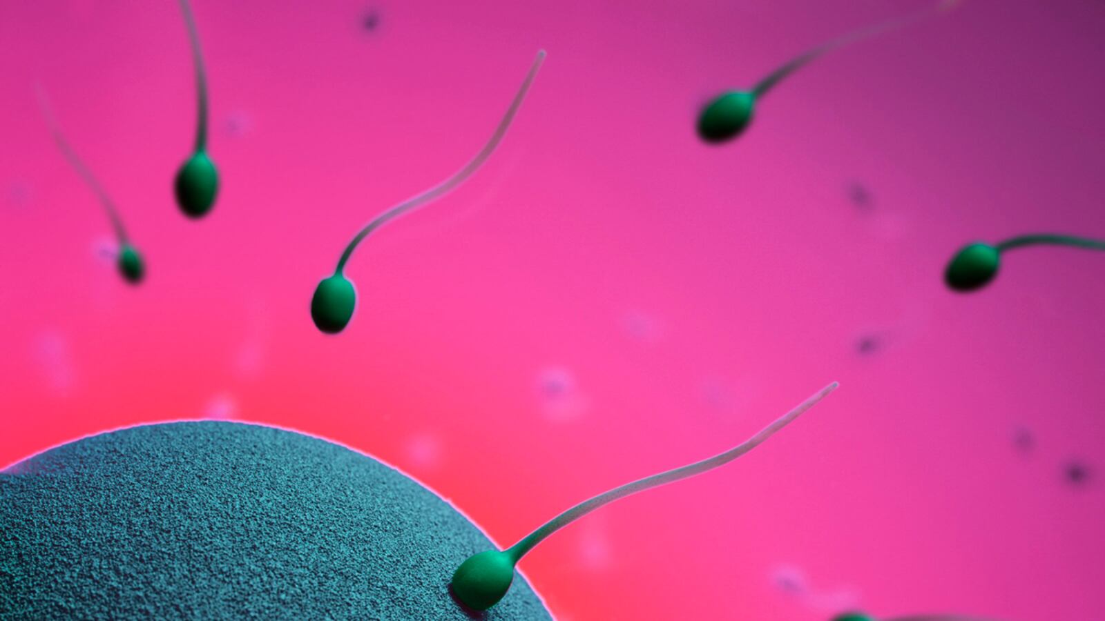 articles/2012/12/08/french-sperm-counts-decline-fertility-by-the-numbers/sperm-by-the-numbers_r2tuvs