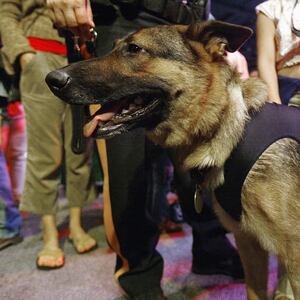 GettyImages-51321447_ueuoxf