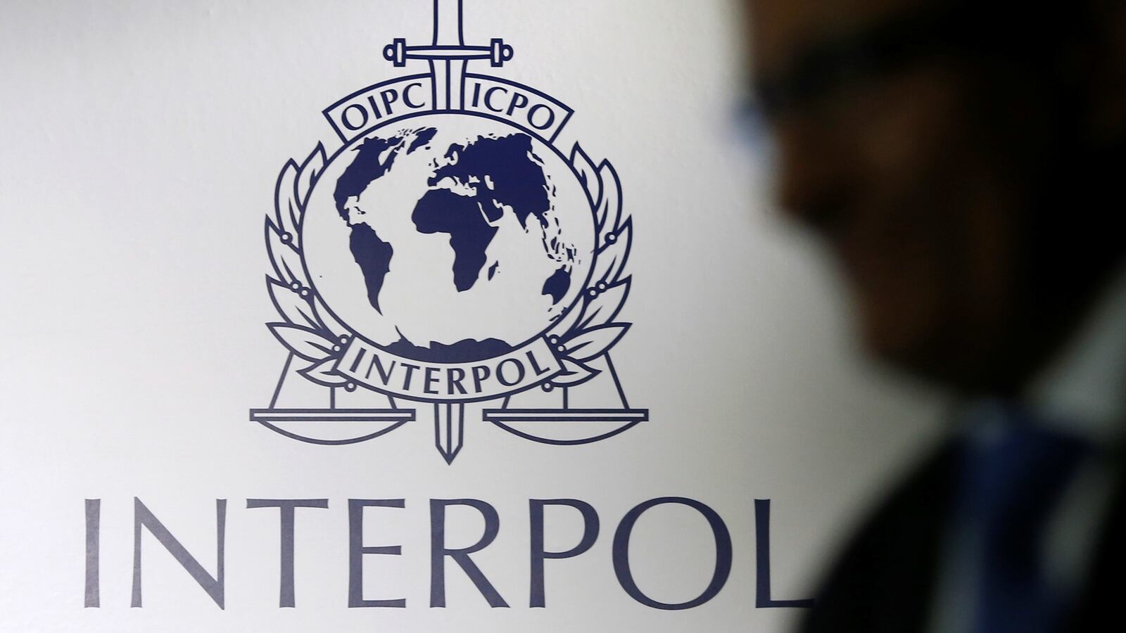 interpol_steweb