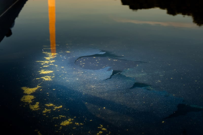 Chipped paint and algae are visible in the Lincoln Memorial Reflecting Pool, after recent renovations following a directive from U.S. President Donald Trump to paint it blue ahead of the 250th anniversary of U.S. Independence, in Washington, D.C., U.S., June 21, 2026.
