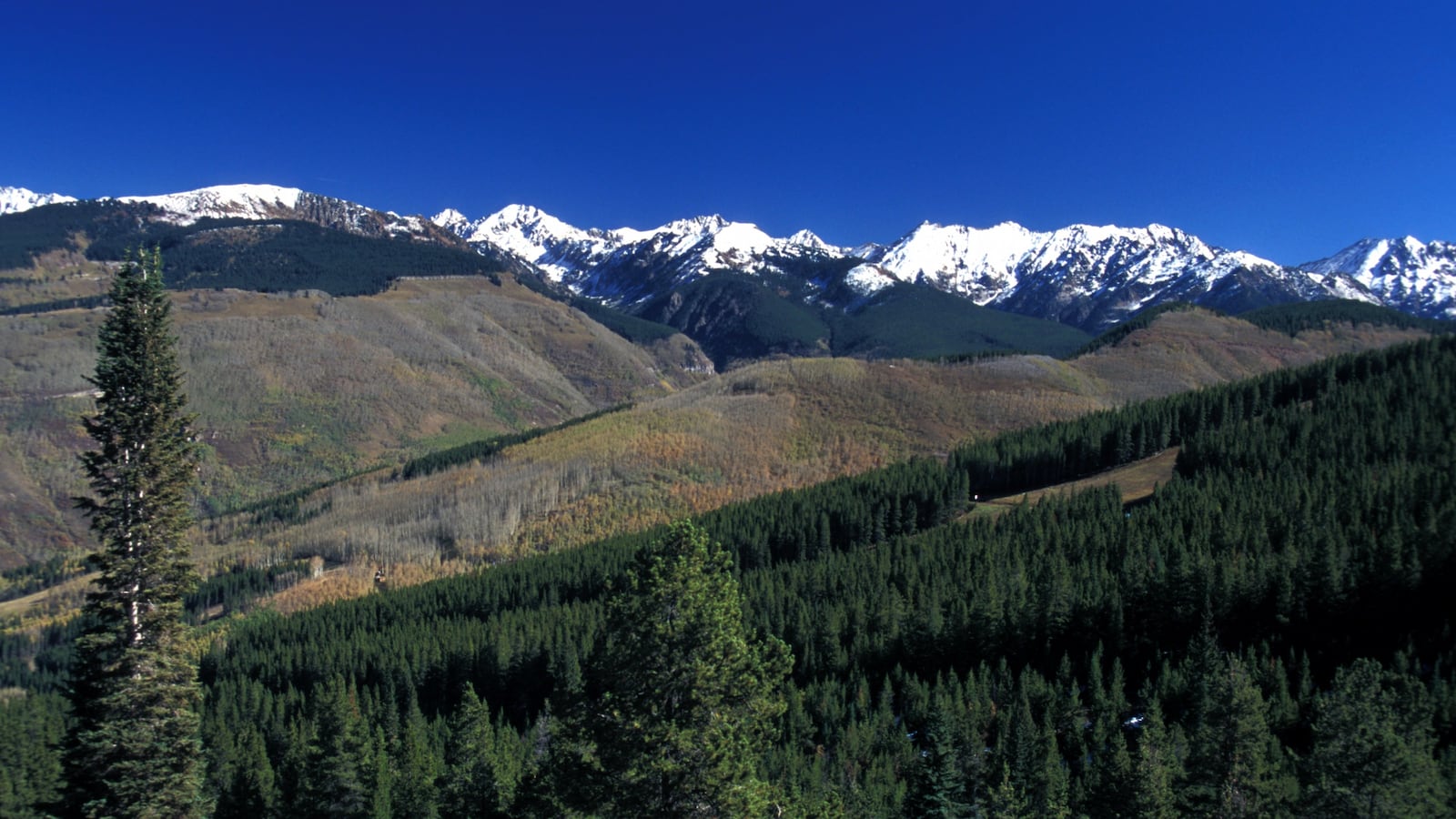 GettyImages-590653151_iit3gg