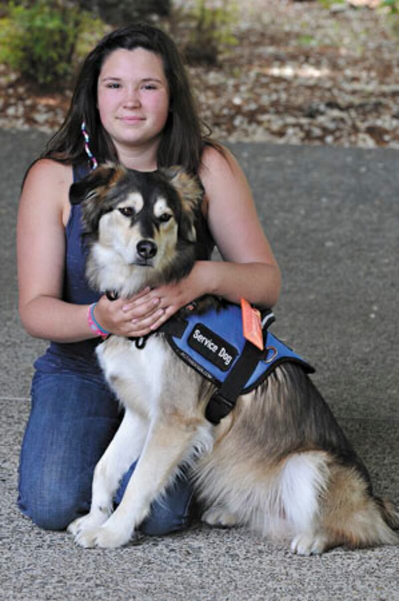 galleries/2012/08/05/kristen-stewart-robert-pattinson-more-pet-custody-battles-photos/animal-custody-battle-biggs_aezbss