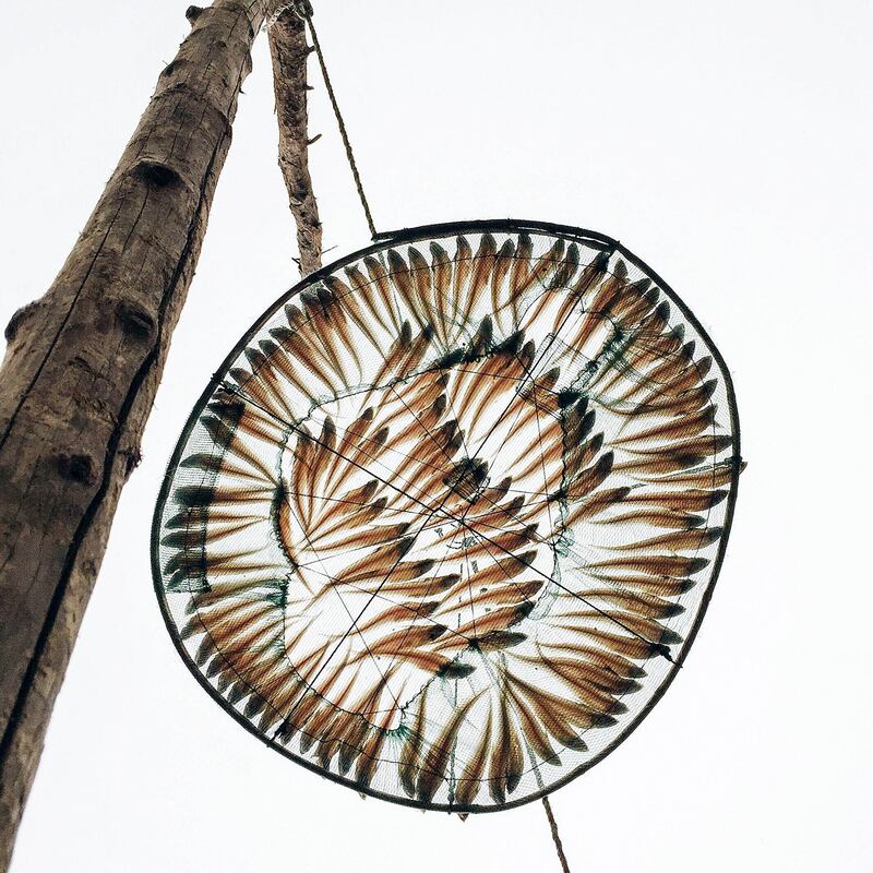 galleries/2015/06/18/iphone-photography-at-its-best/150618-IPPA-08_f3xchi