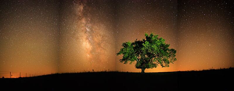 galleries/2010/07/08/an-american-prairie-feast/summer-food-kansas-9_uunwfg