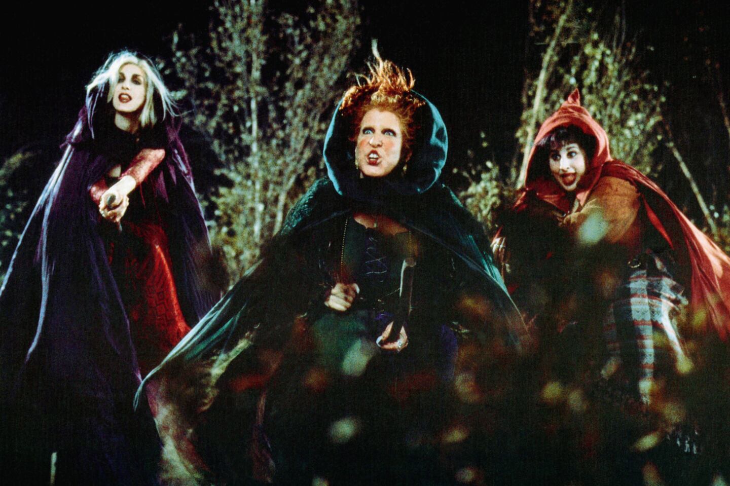 ‘Hocus Pocus’ Turns 20: Meet the Voice Behind Binx the Talking Cat