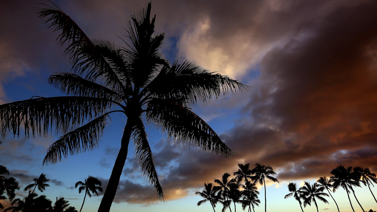 GettyImages-461454179_o3zxfh