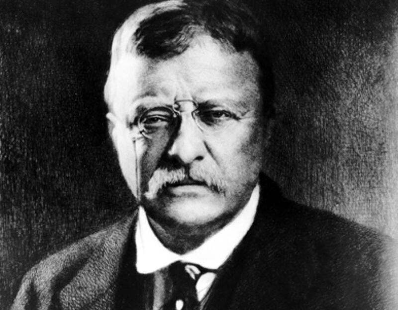 articles/2010/11/19/edmund-morris-new-book-colonel-roosevelt-interview/mcelwaine-morris-roosevelt_142581_hdqn2x