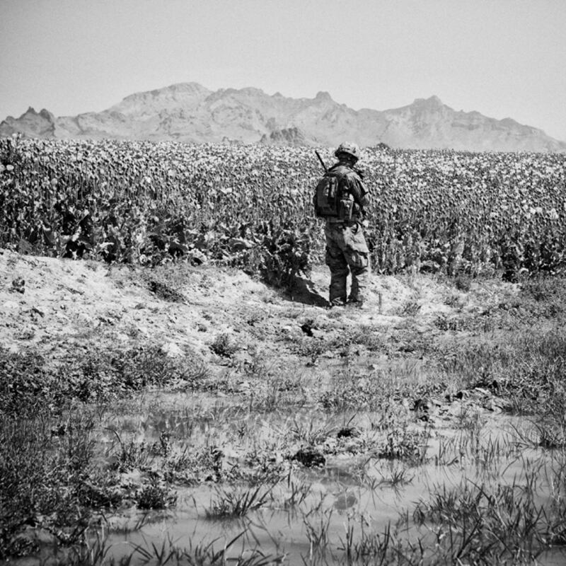 galleries/2011/05/04/john-mchugh/john-mchugh-6_cwlzg3