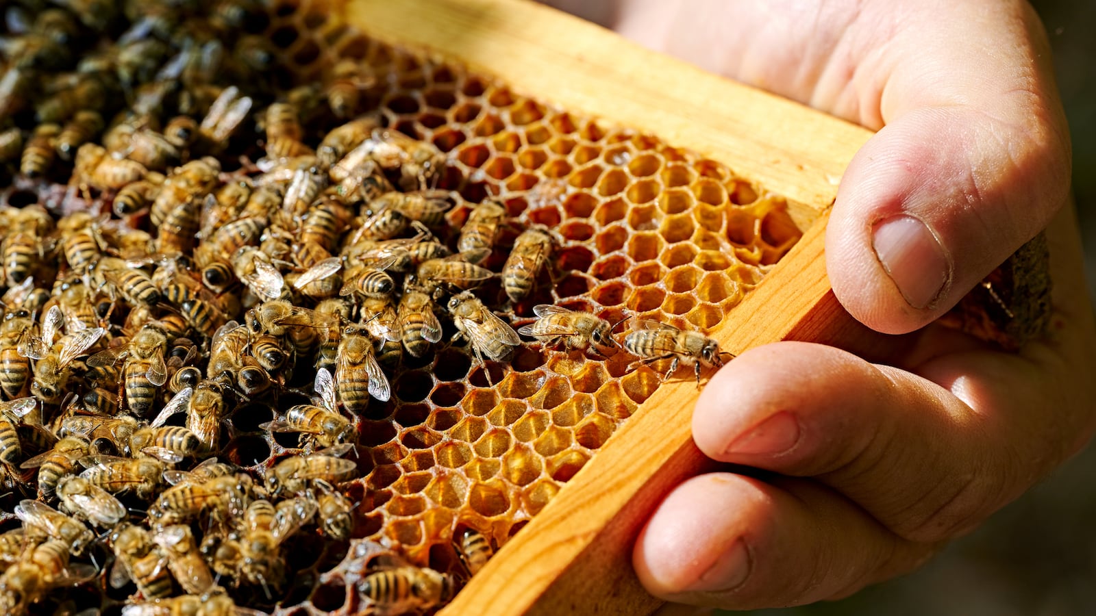 GettyImages-1390894242_xrsszv