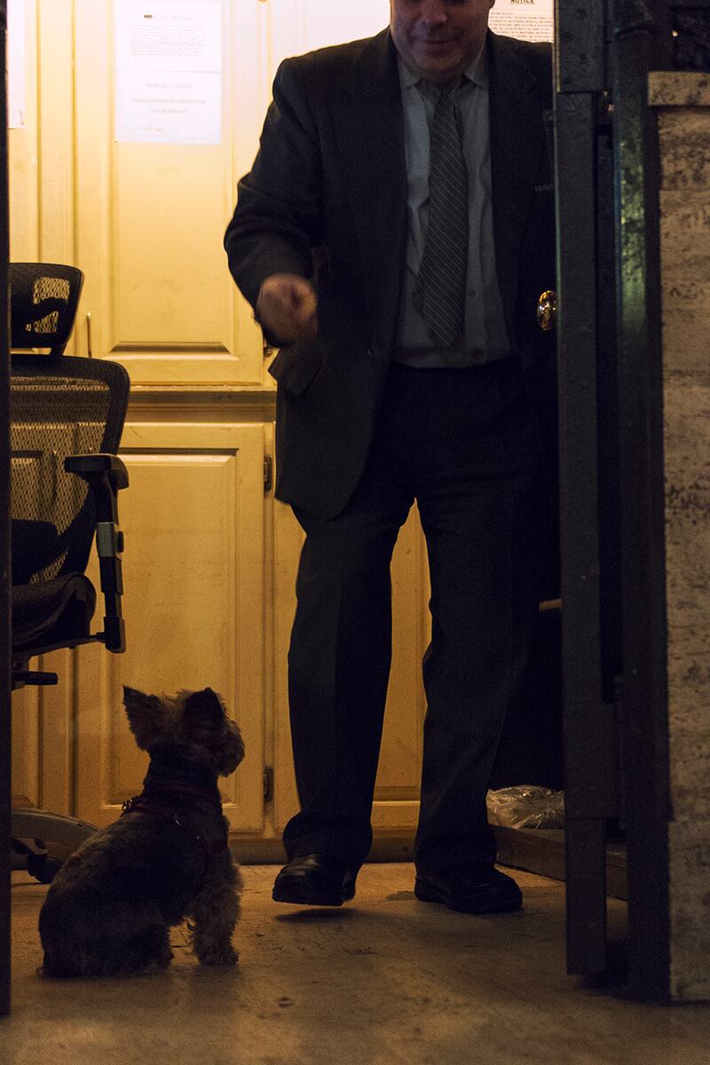 galleries/2015/02/22/inside-the-posh-life-of-a-new-york-yorkie-photos/150220-bear-dog-04_ajziui