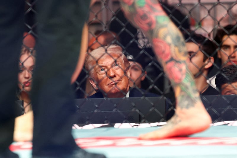 Donald Trump UFC