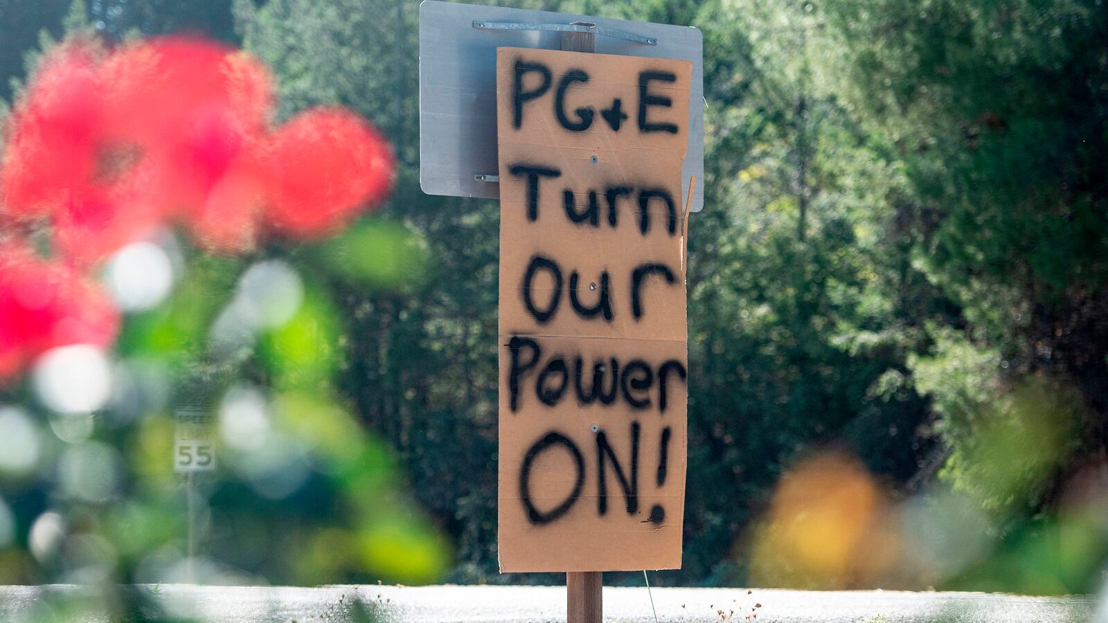 GettyImages-1175134929_ekgzko