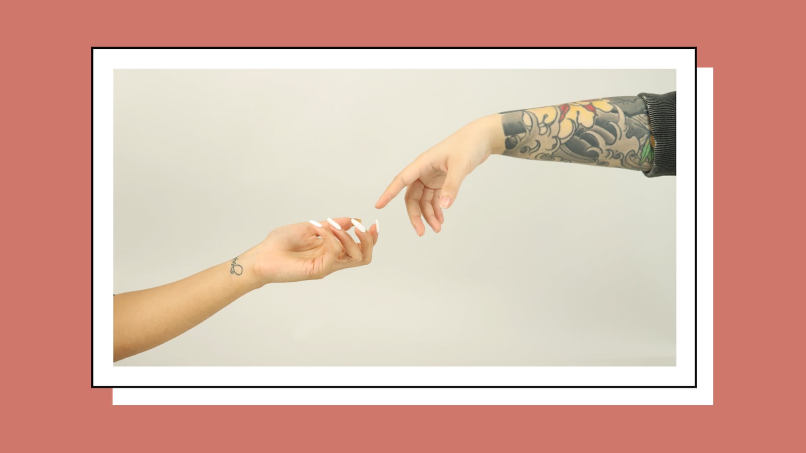 Tracy's Dog lifestyle