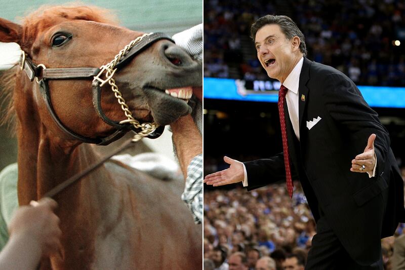 galleries/2012/05/04/steven-spielberg-mc-hammer-and-more-stars-whove-owned-kentucky-derby-horses-photos/stars-derby-horses-pitino_weosrv