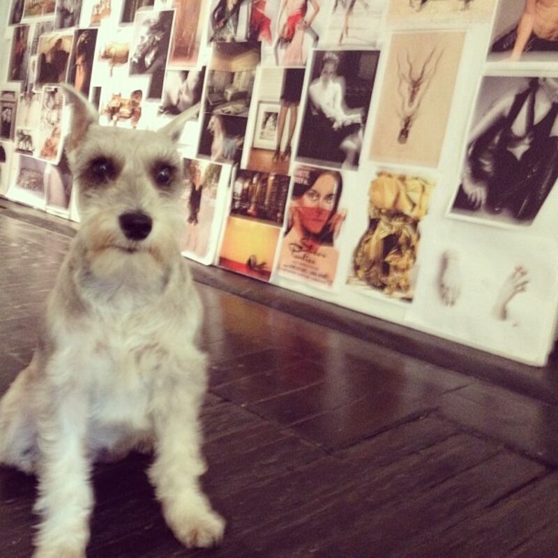 galleries/2012/09/08/azealia-banks-lana-del-rey-more-fashion-instagrams-photos/lilyscoutk_xiiozp