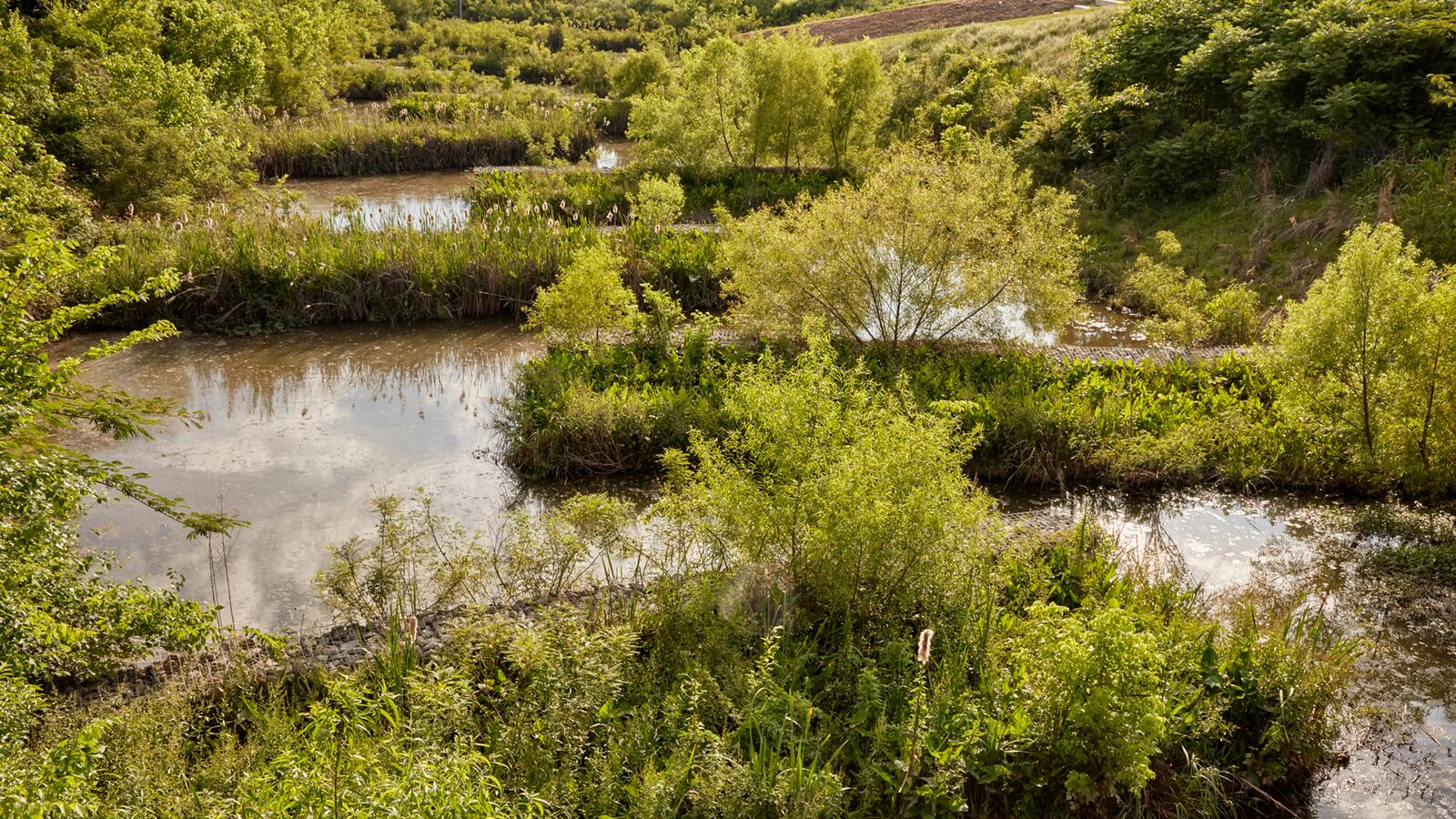 Renaissance_Park_13_hate8k