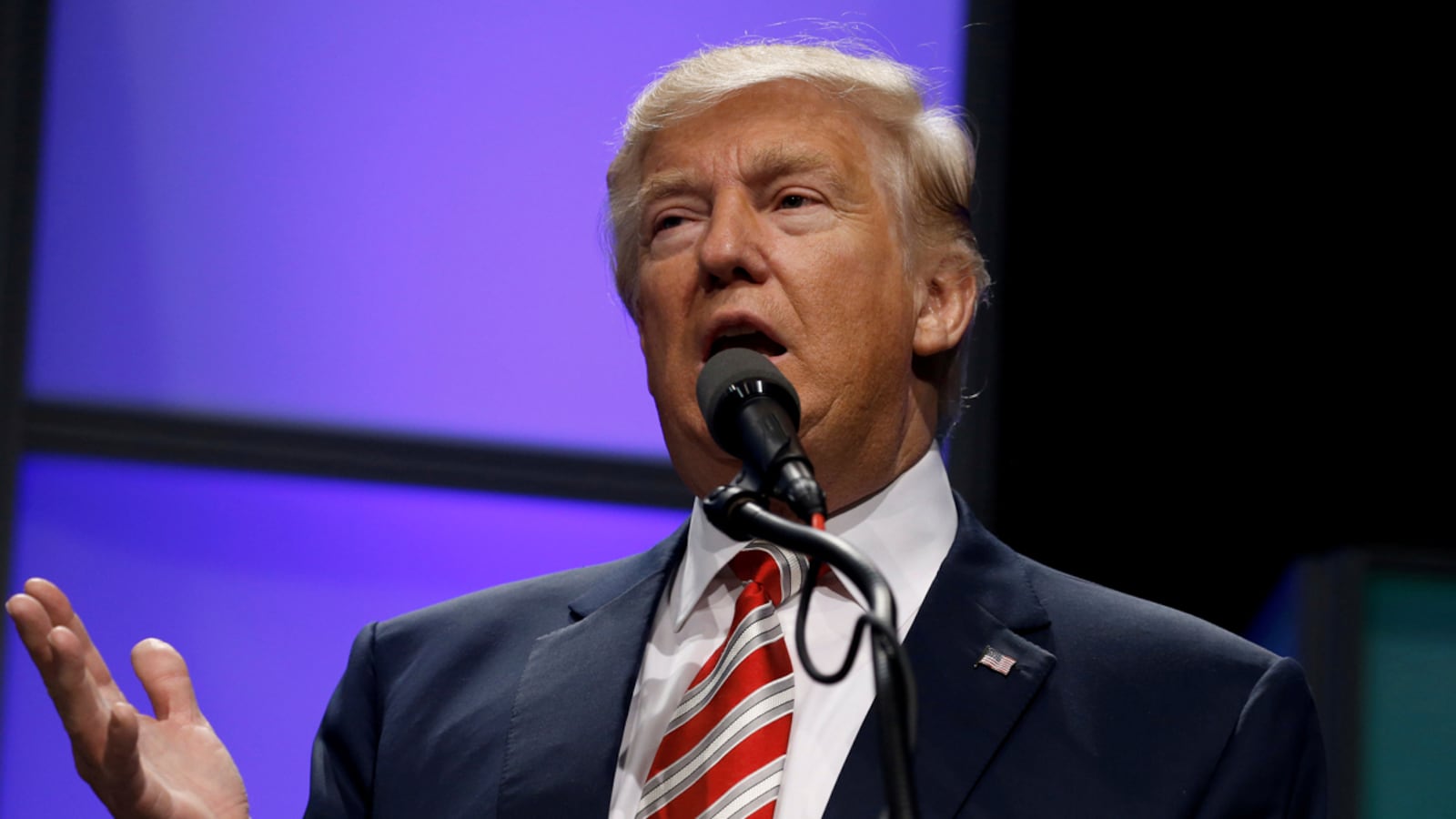 cheats/2016/11/16/trump-i-didn-t-request-clearance-for-my-kids/16116-donald-trump-cheat_rw11la