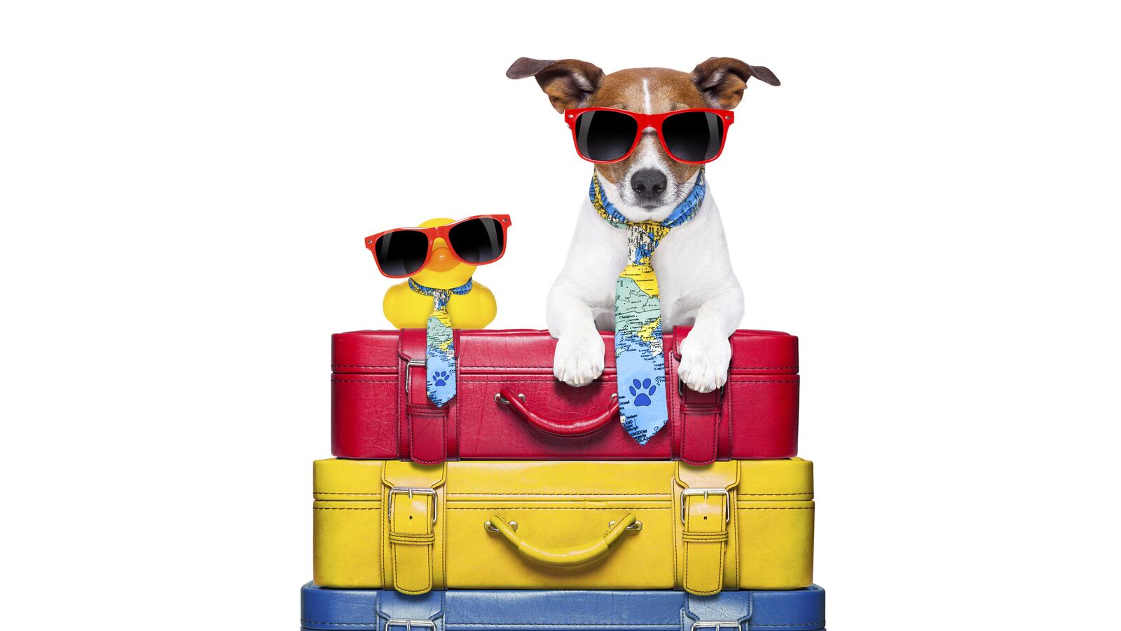 articles/2015/07/21/your-dog-just-got-its-own-airport-inside-the-world-of-pet-luxury/150720-jones-dog-airport-tease_jozycl