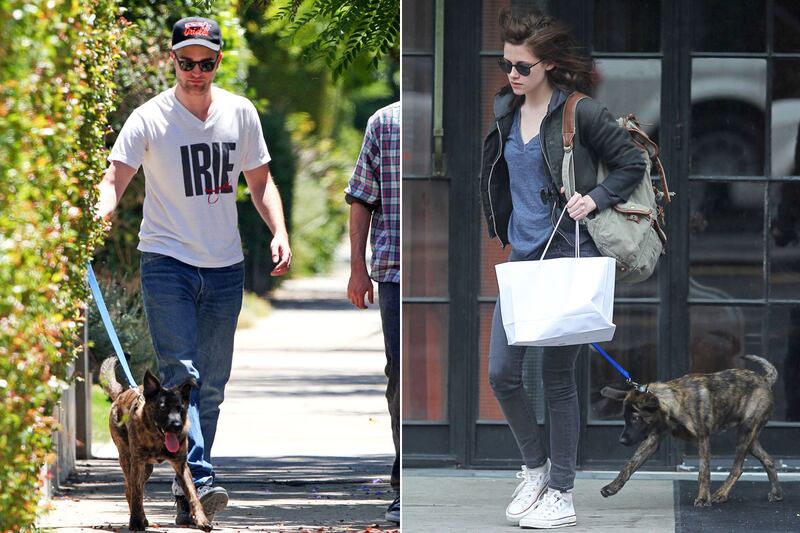 galleries/2012/08/05/kristen-stewart-robert-pattinson-more-pet-custody-battles-photos/animal-custody-battle-stewart-pattinson_sqnqqa
