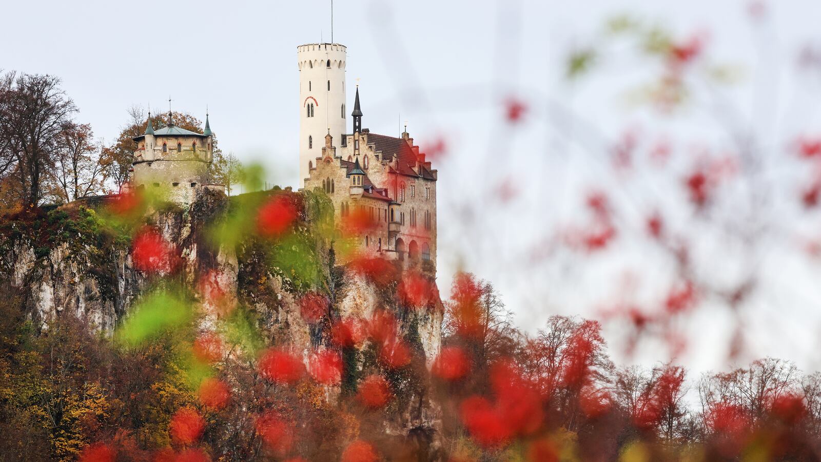 View of Lichtenstein Castle on the Swabian Alb through rose hips.