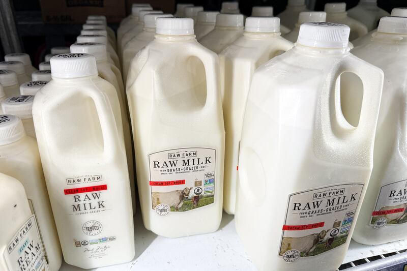 Raw milk from Raw Farm is displayed for sale at a grocery store on November 29, 2024 in Torrance, California. Certain lots of the Fresno-based Raw Farm cream top, whole raw milk have been recalled by California public health and agriculture authorities amid ongoing concerns about possible H5N1 bird flu infections amont the farm's cattle. (Photo by Patrick T. Fallon / AFP) (Photo by PATRICK T. FALLON/AFP via Getty Images)