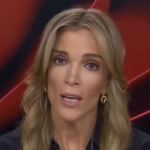 Megyn Kelly went on a random tirade against the hit show "The Pitt."
