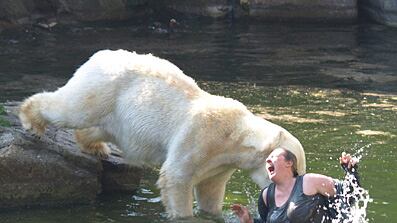 cheats/2009/04/13/polar-bear-mauls-woman-in-berlin/polar-bear-1_xmttjg