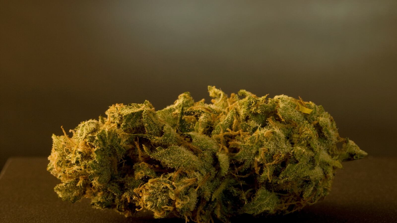 articles/2013/11/30/prescribing-pot-for-pet-pain/131126-gross-marijuana-tease_wjig1p
