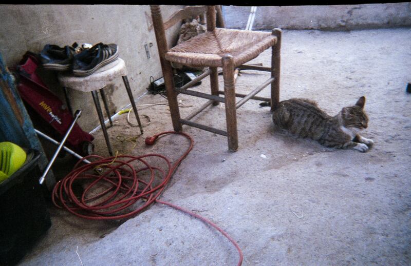 Mi_Mirada_-_17_q7vx0e