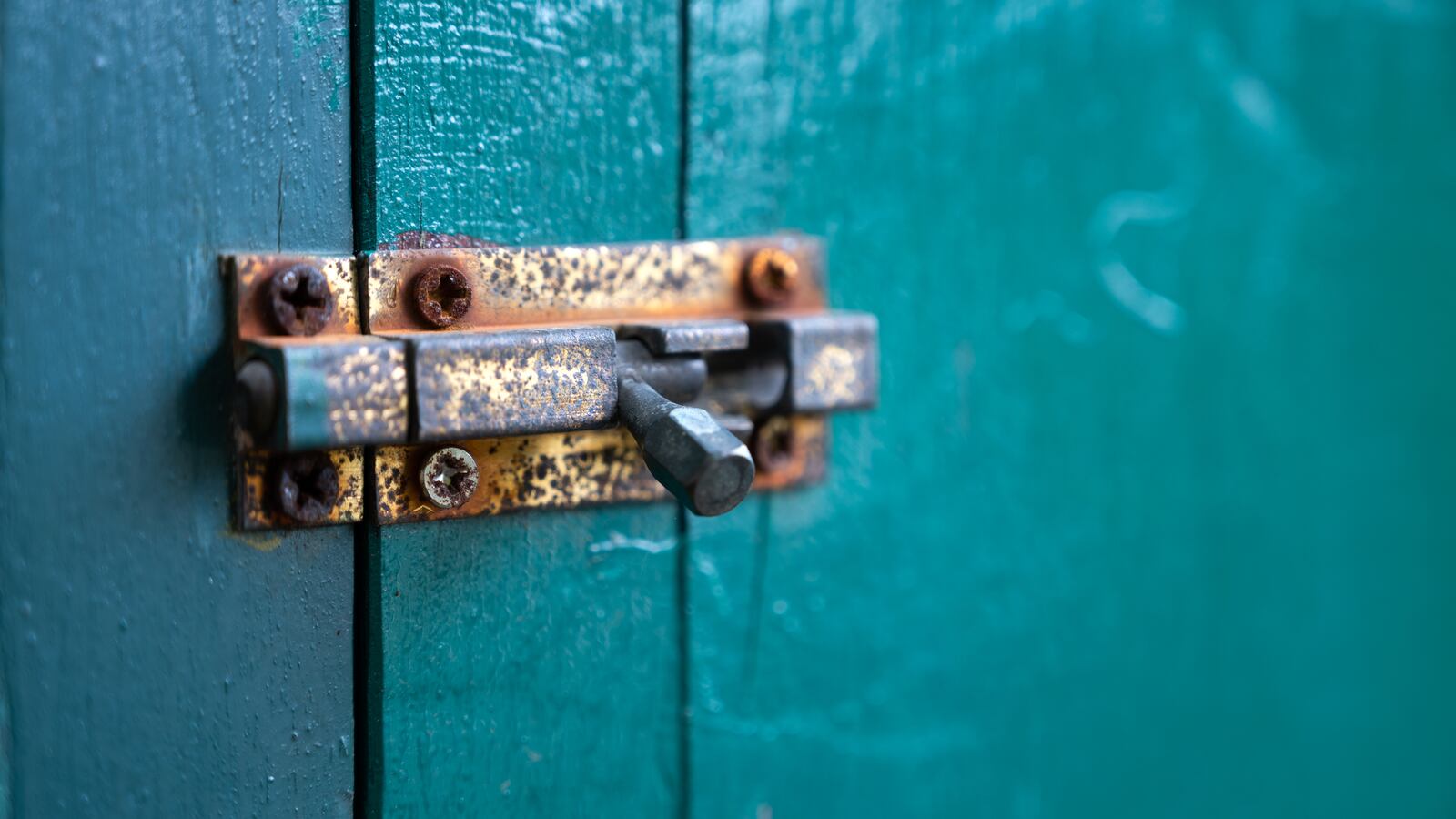 Padlock on wooden door.
