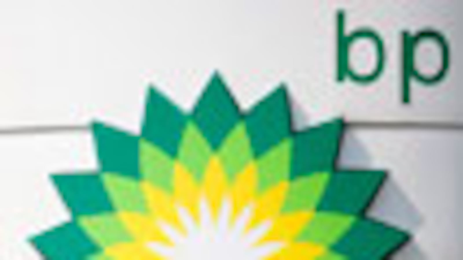 cheats/2010/05/25/how-much-did-bp-know/bp-oil-spill_k2ipjp