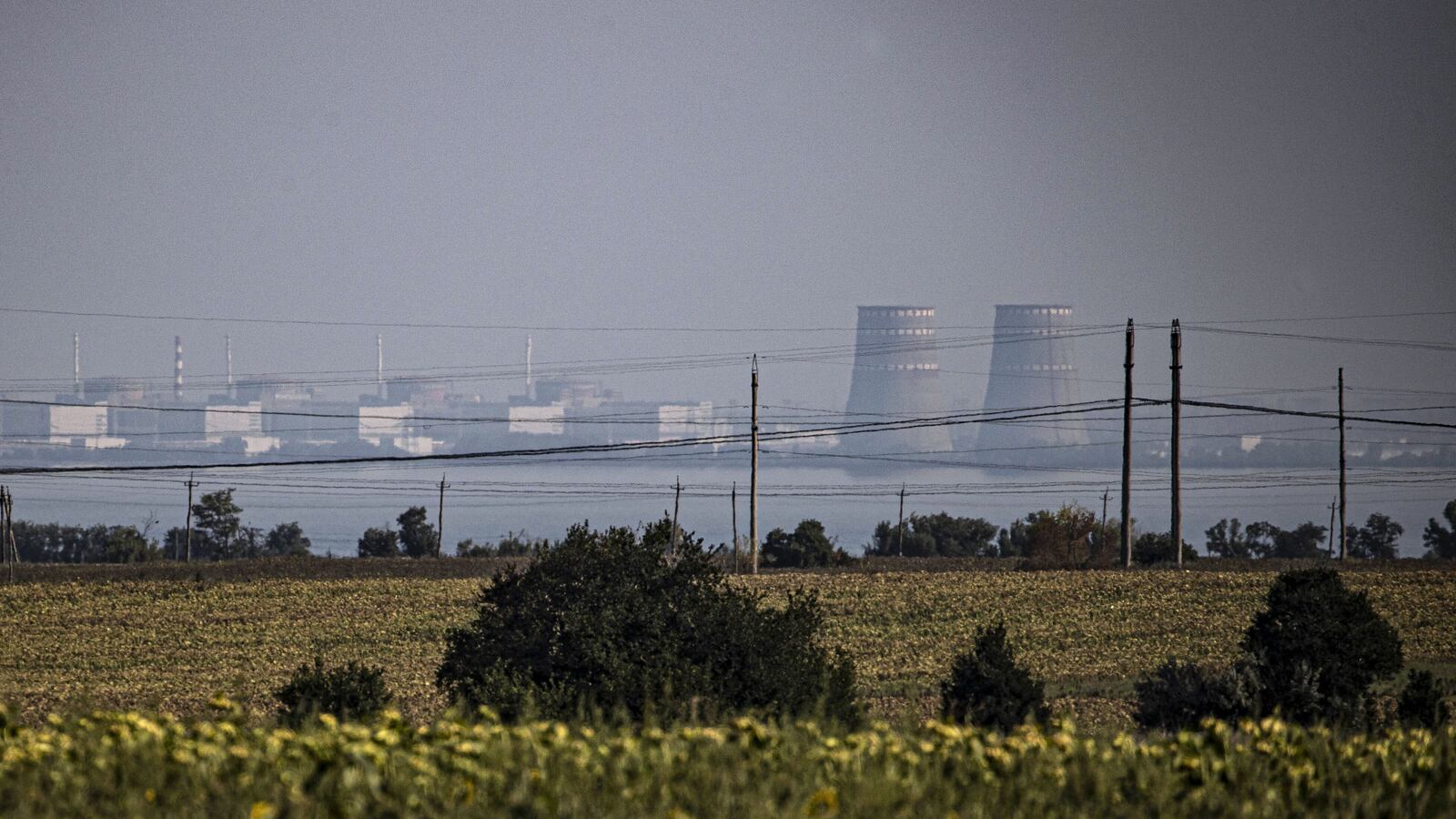 220831-mutch-bar-ukraine-hero_py32vt