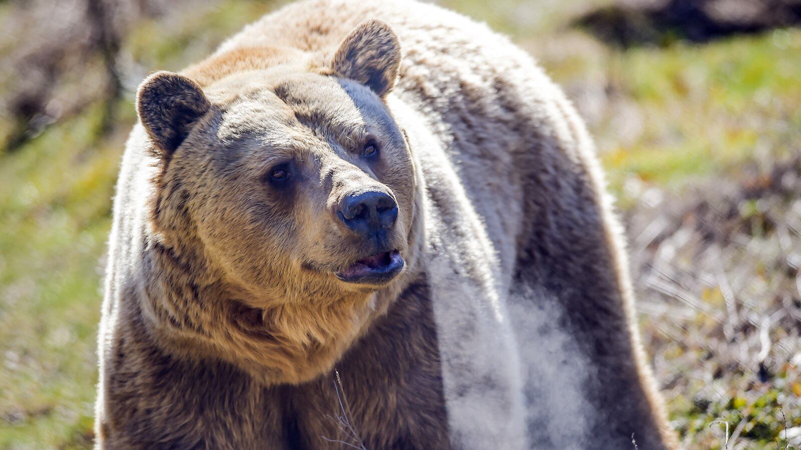 GettyImages-1231655772_hdytth