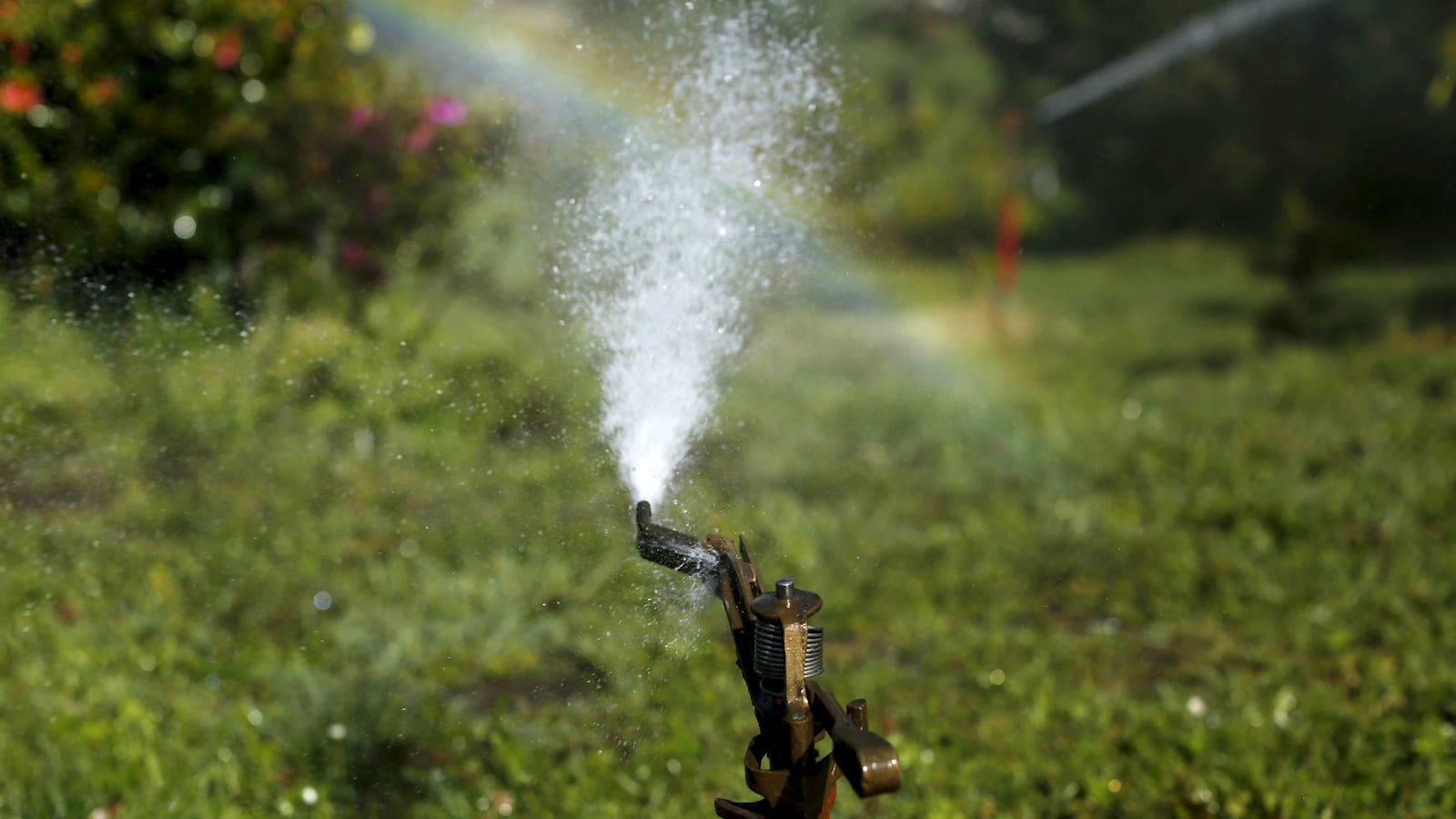 cheats/2015/04/07/california-water-savings-fall-to-just-3/150407-california-cheat_wwfg8z