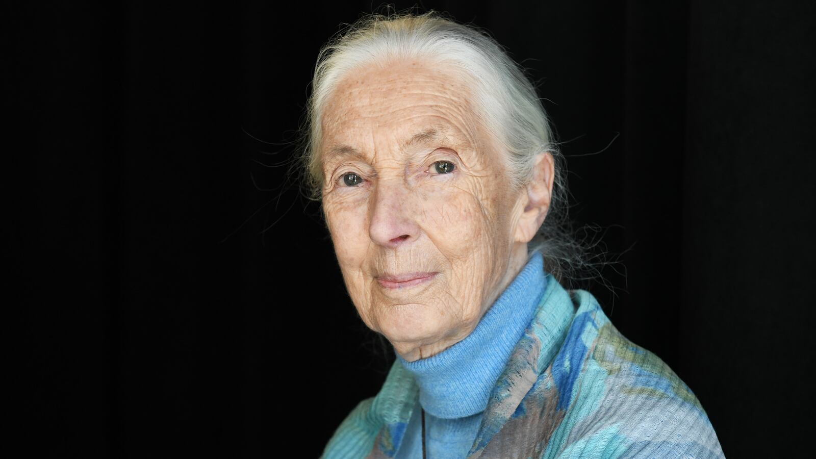 NEW YORK, NEW YORK - APRIL 23 Dr. Jane Goodall attends the TIME 100 Summit 2019 on April 23, 2019 in New York City.