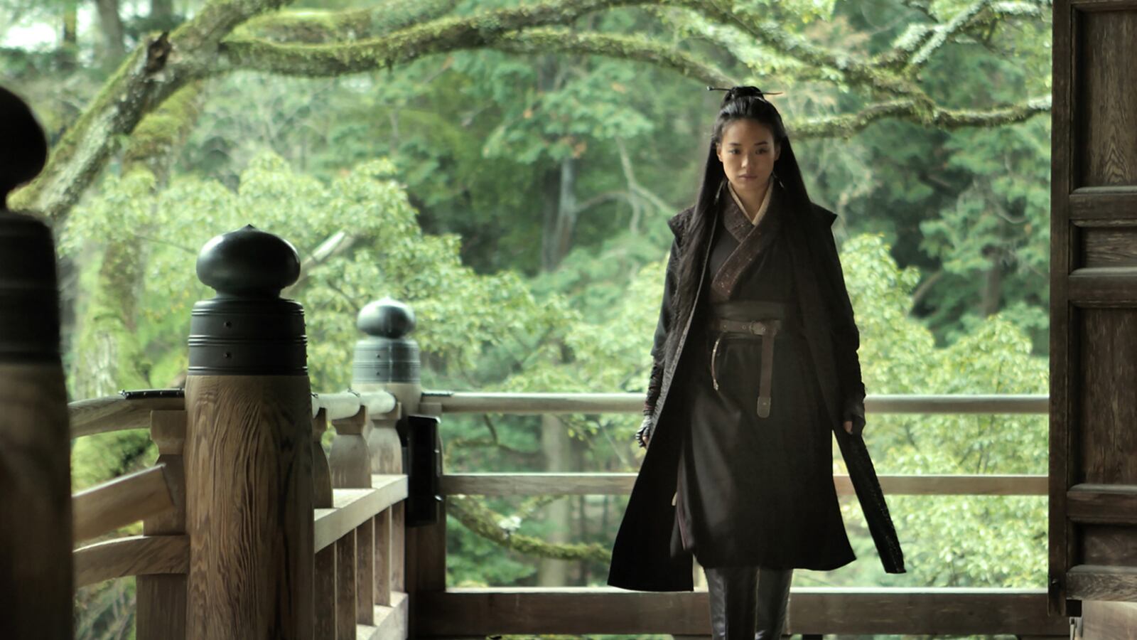 articles/2015/09/19/the-assassin-a-new-martial-arts-masterpiece/150919-schager-assassin-tease_dmr8rw