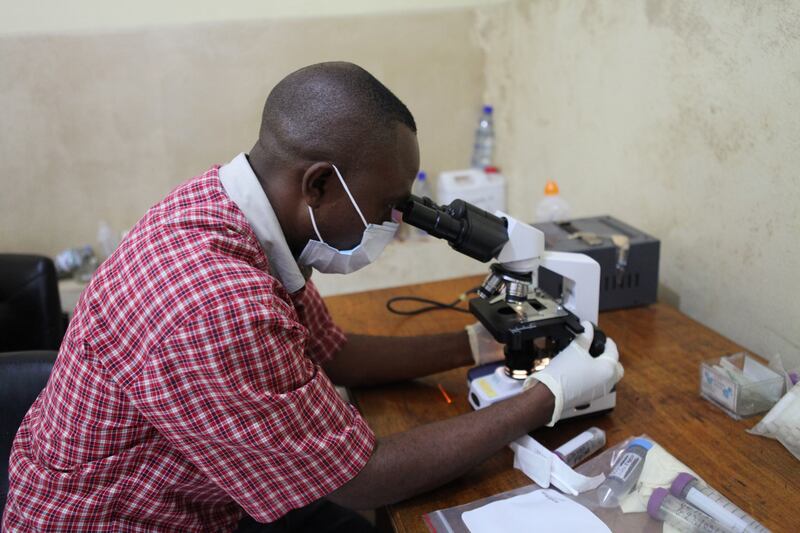 galleries/2015/06/21/the-mountain-gorillas-of-virunga-photos/150617-strochlic-gorilla4_hhxuwn