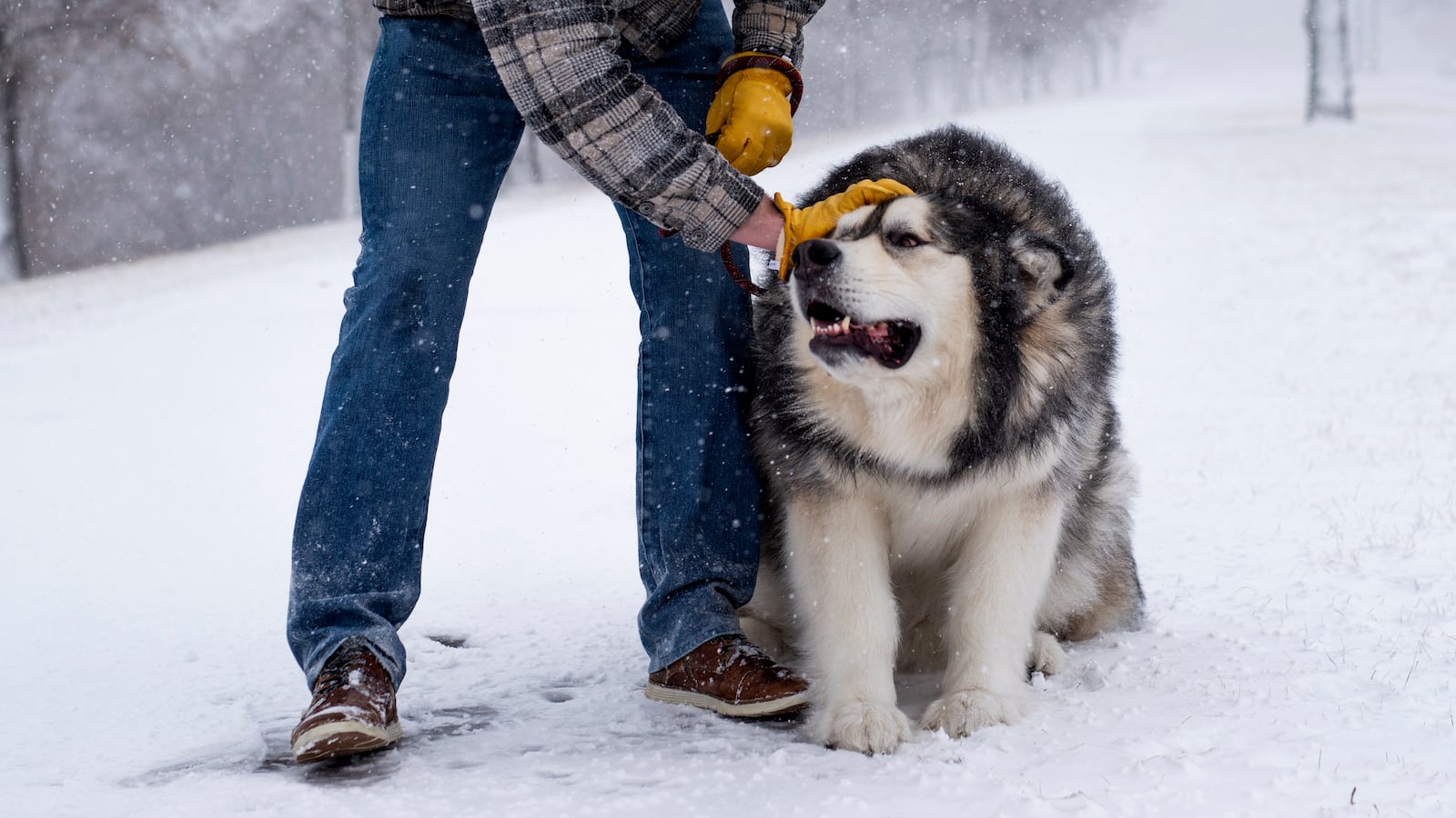 GettyImages-1230281073_cwlugd