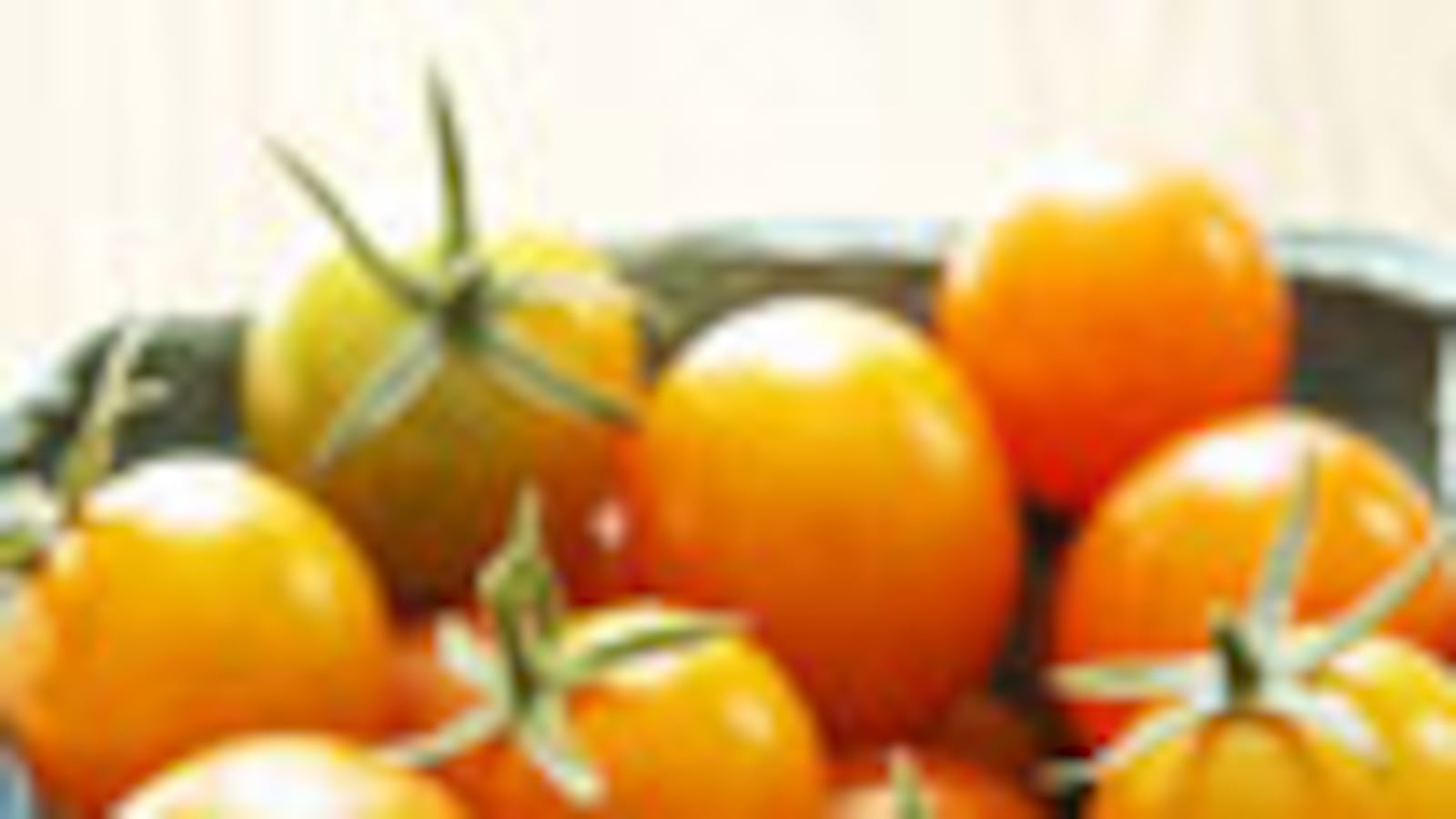 articles/2009/07/07/fresh-picks-2/fresh-picks---ripert-cherry-tomato_h4wed4