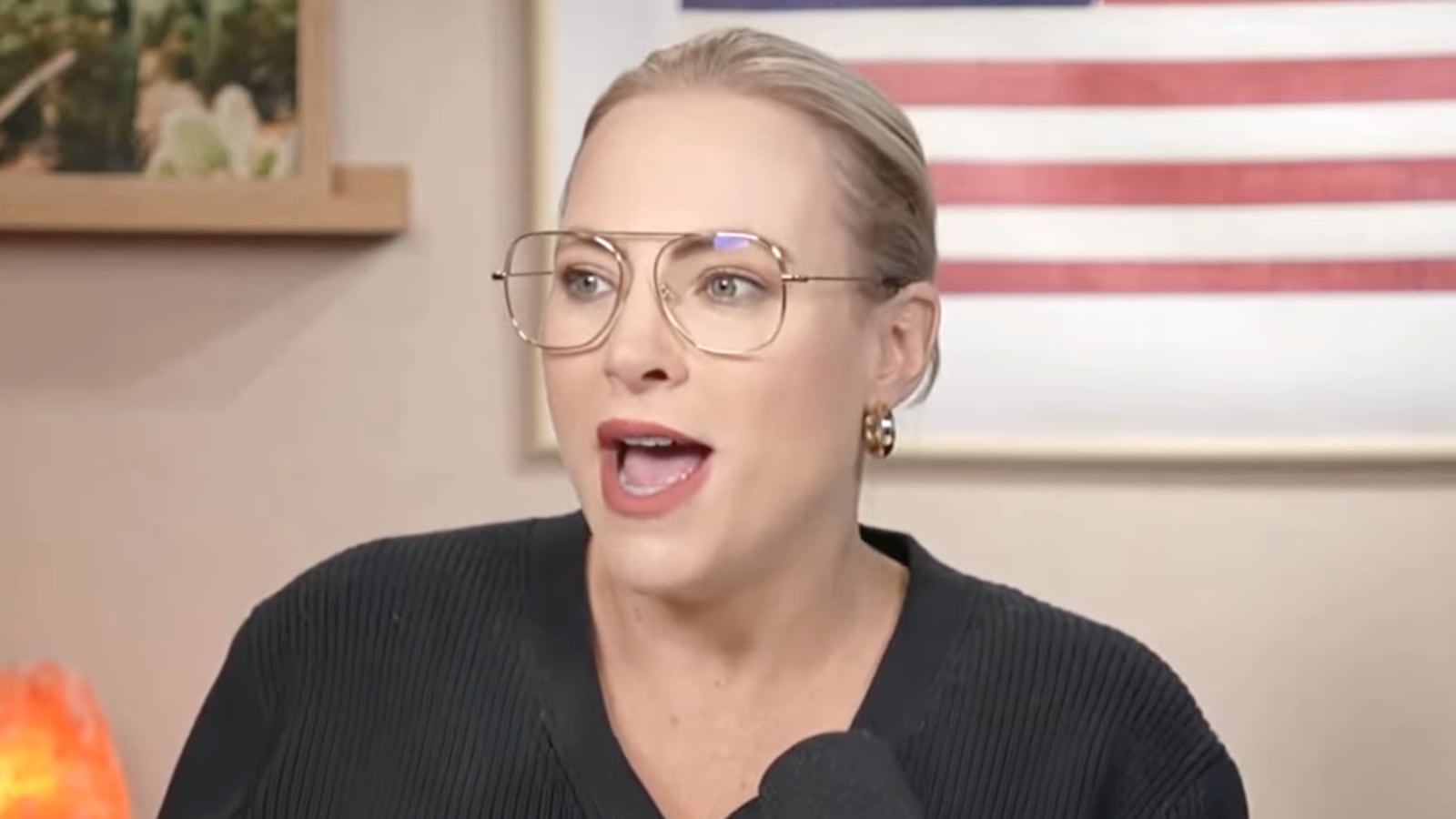 Meghan McCain on "Citizen McCain"