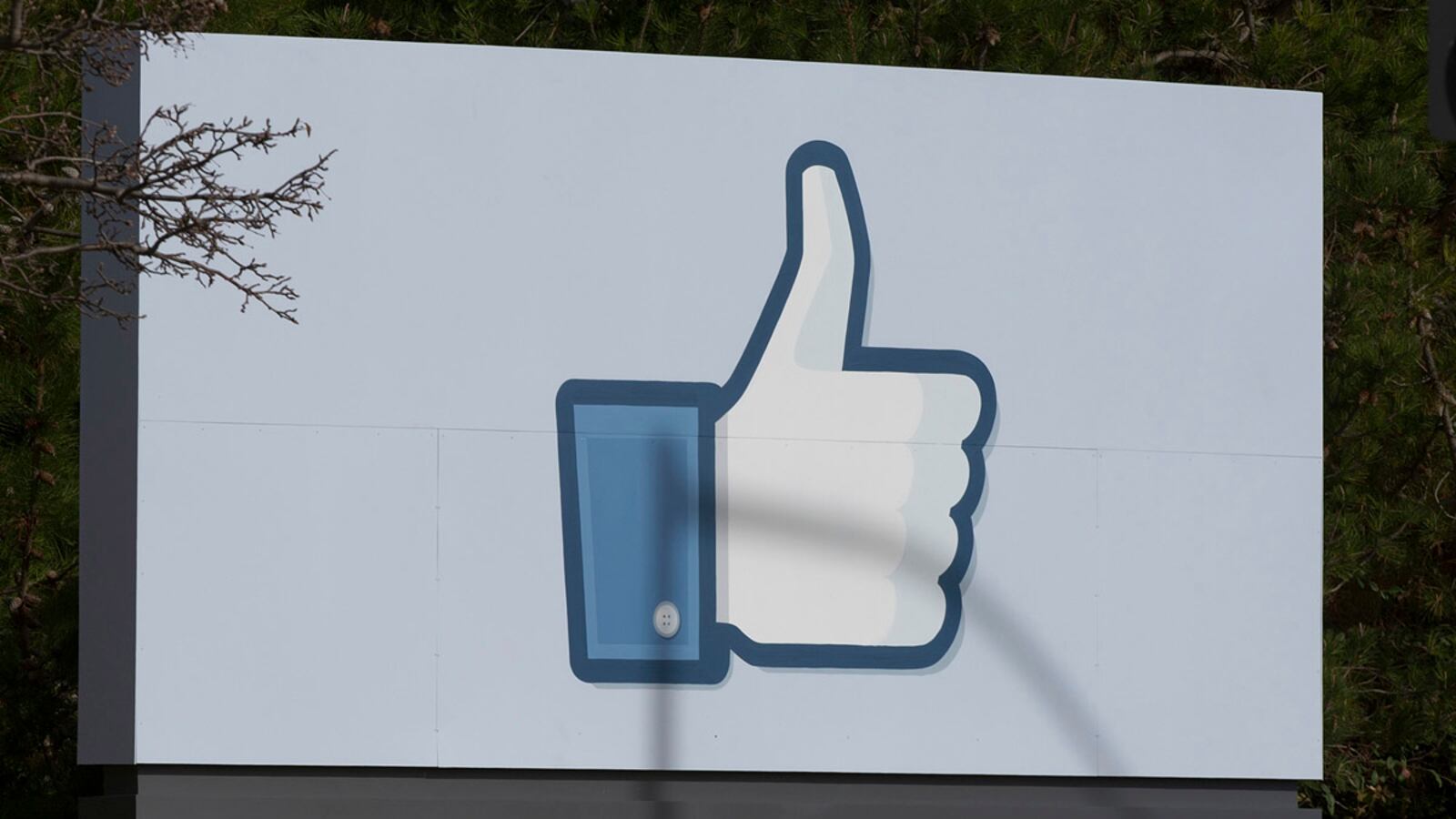 cheats/2012/11/21/facebook-removes-voting-system/biggest-internet-ipos-gal-facebook_r2ejj6