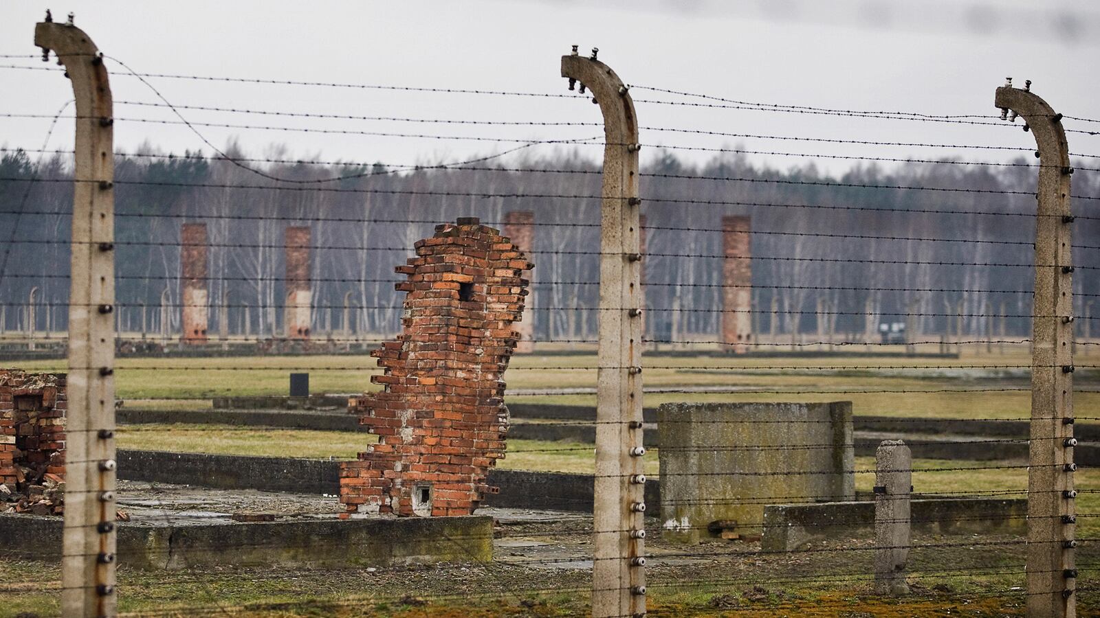 cheats/2014/02/20/auschwitz-guard-suspects-arrested/140220-auschwitz-arrest-cheat_mjtrxe