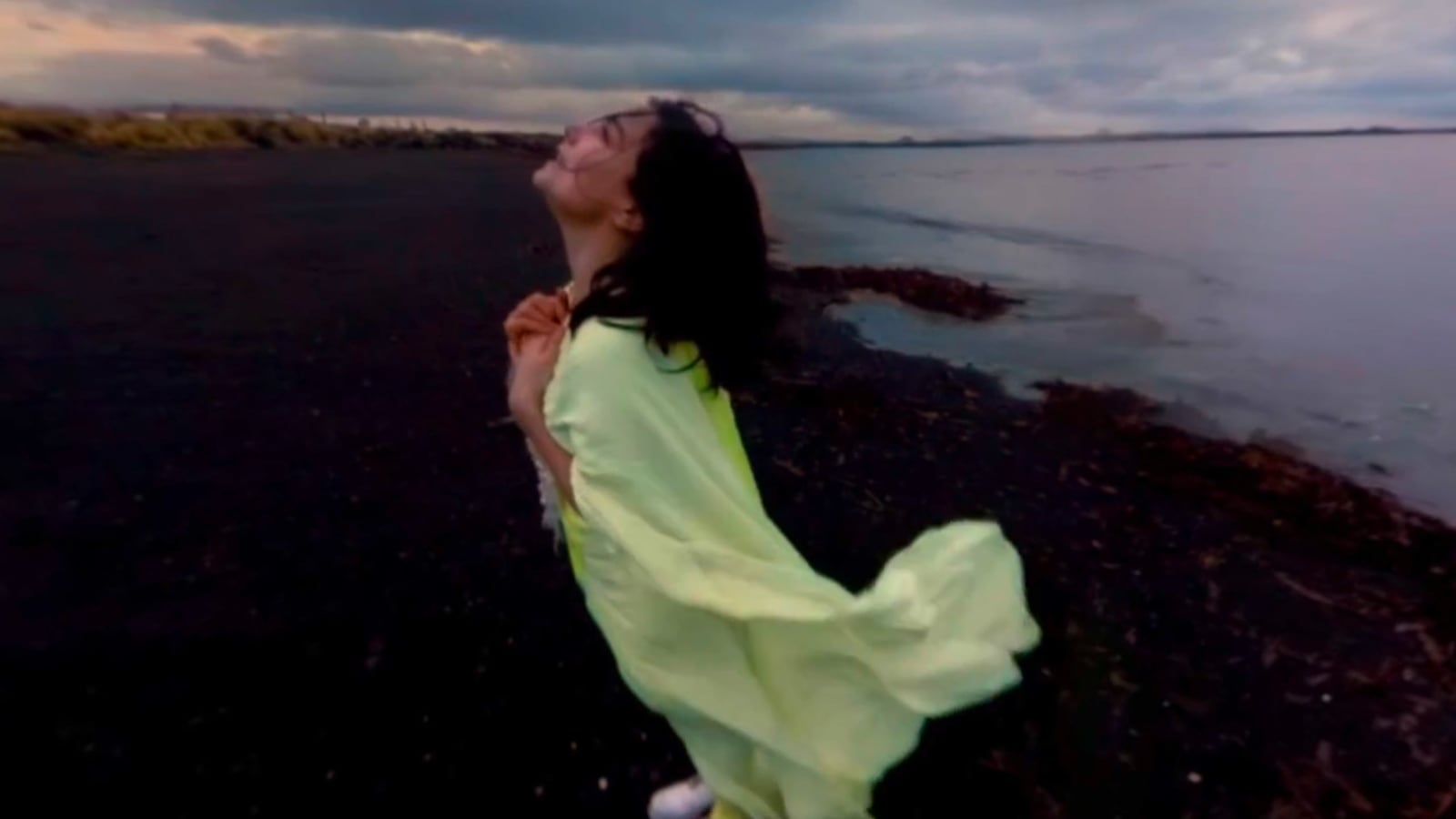 articles/2015/06/05/bjork-virtual-reality-music-video/150605-viral-vid-bjork-tease_dztfs7