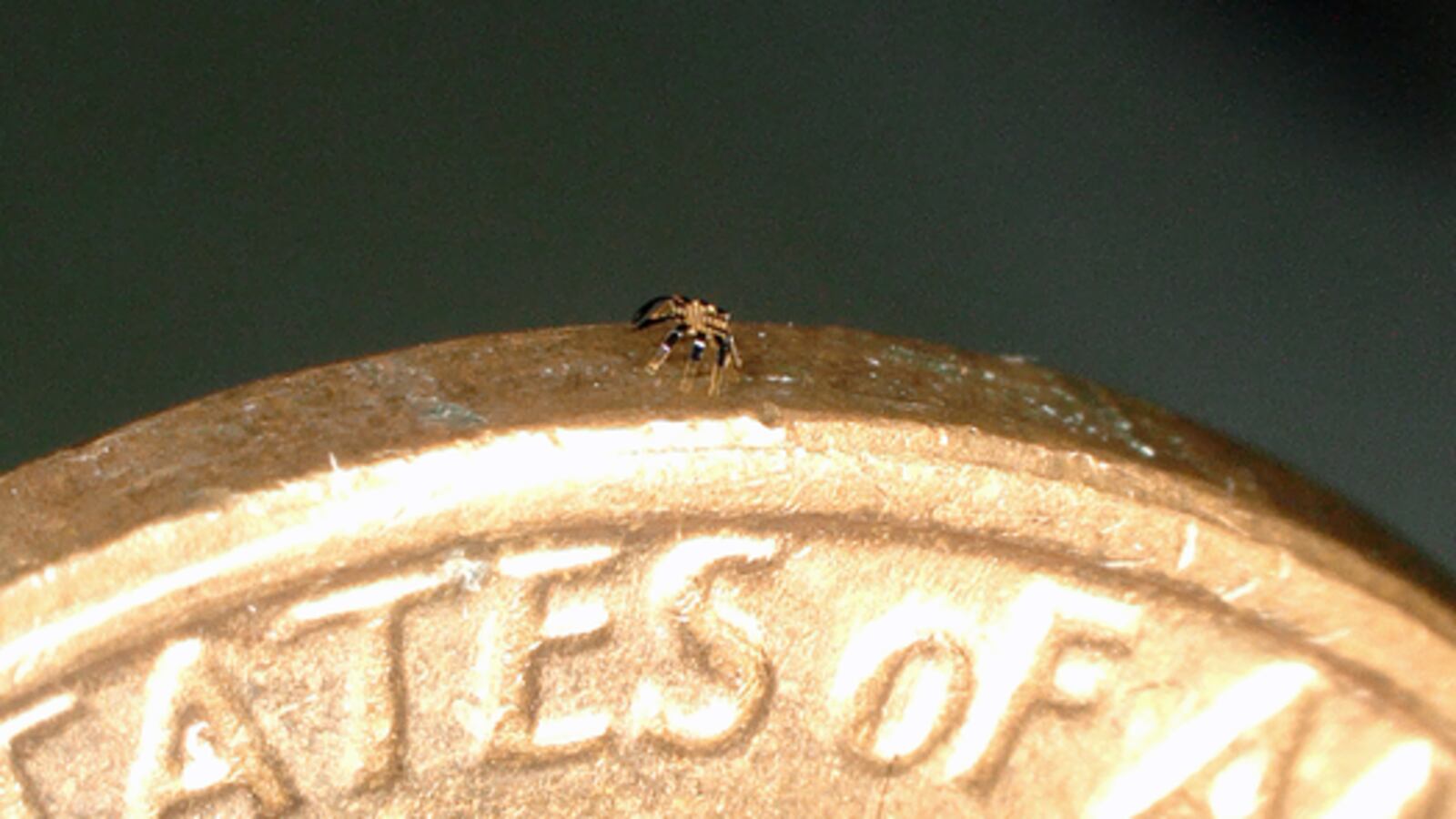 Low-Res_Fig._1D-1.jpg_yevk1y