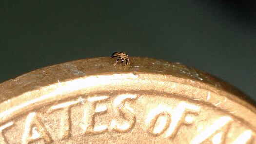 Low-Res_Fig._1D-1.jpg_yevk1y