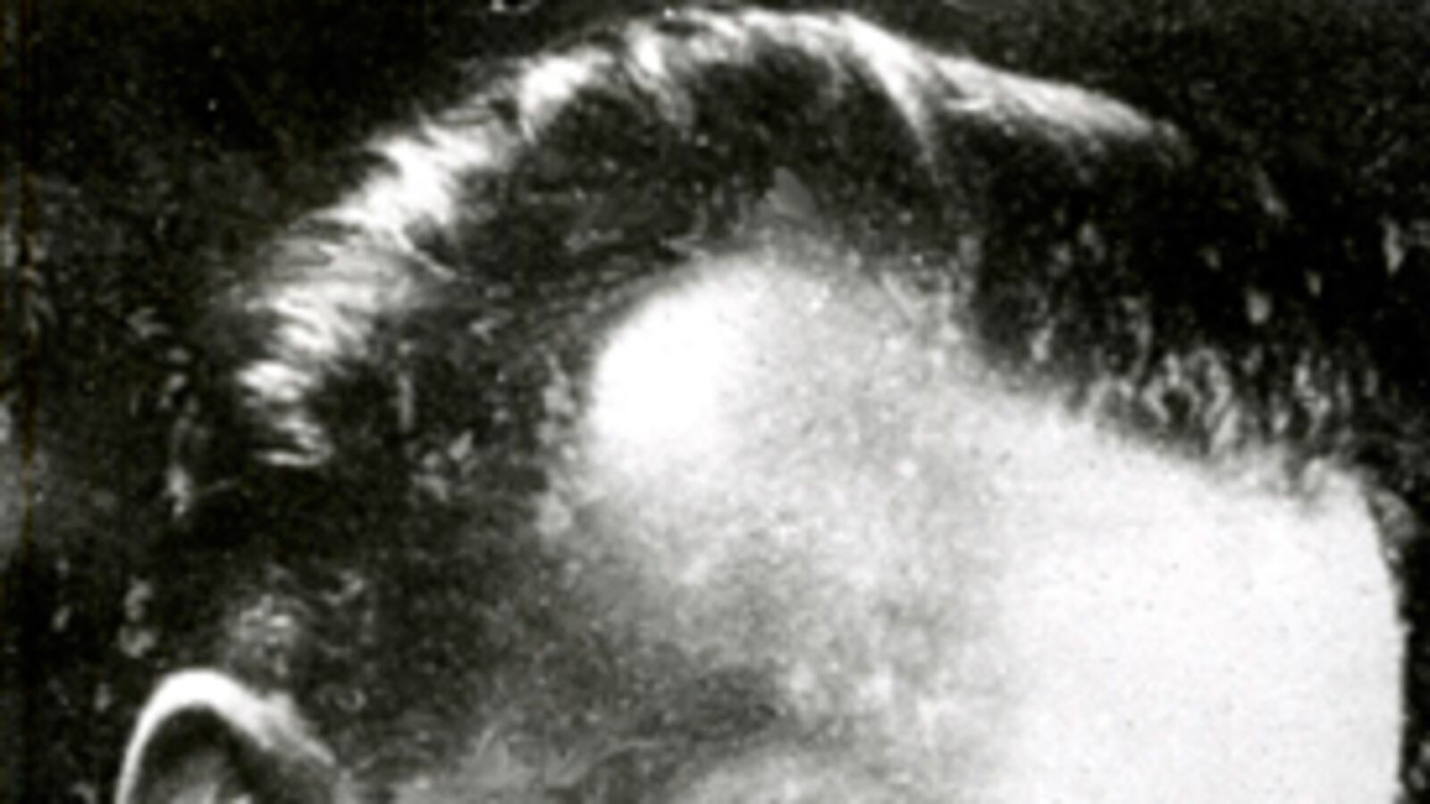 cheats/2009/02/05/most-wanted-nazi-found/heim-090205_ik0box