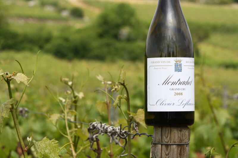 galleries/2010/06/25/summer-food-burgundy/summer-food-series-2---3_sytmtd
