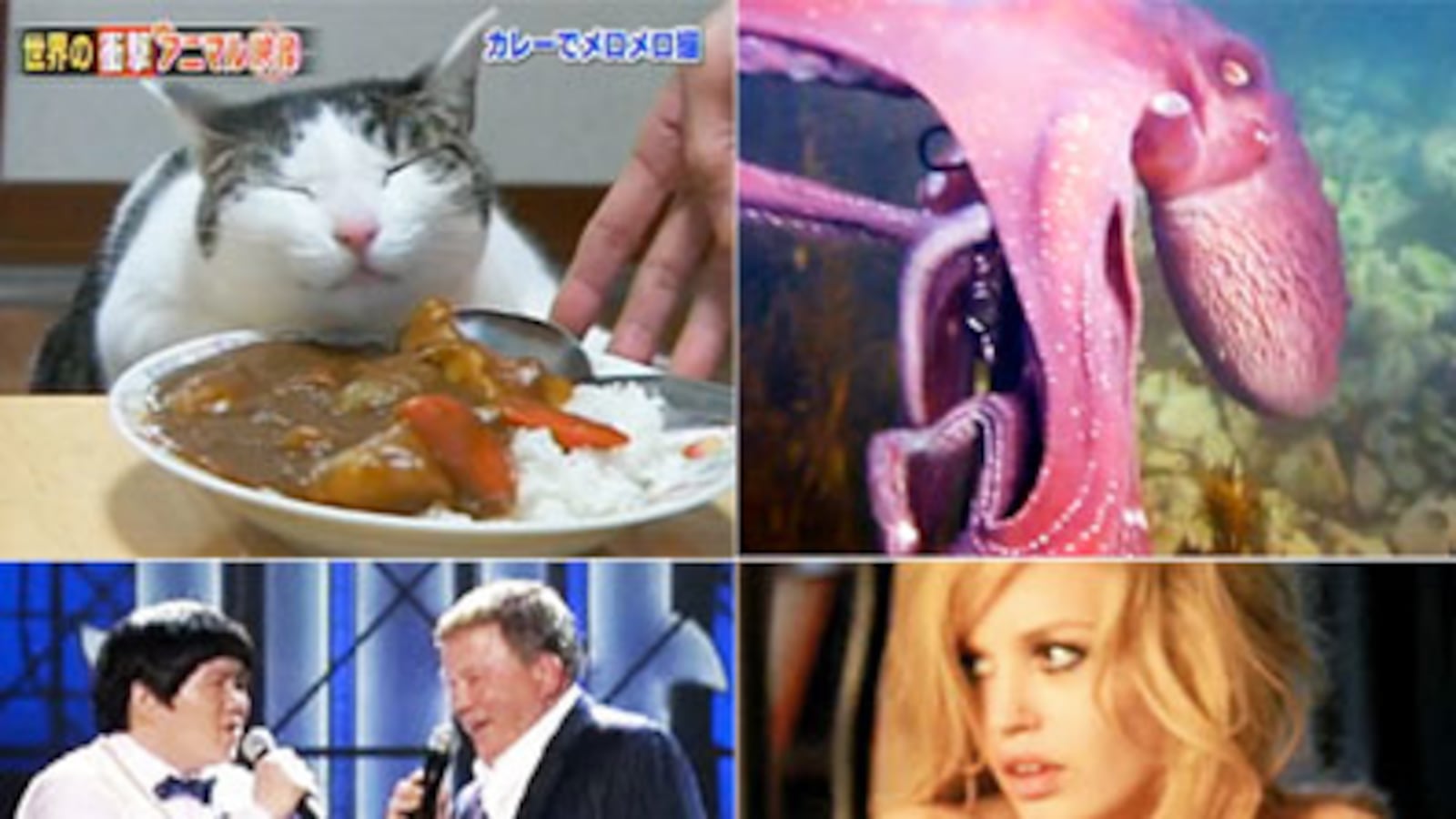 articles/2010/04/23/april-24-the-week-in-viral-videos/week-in-viral-423_96031_s7uztj