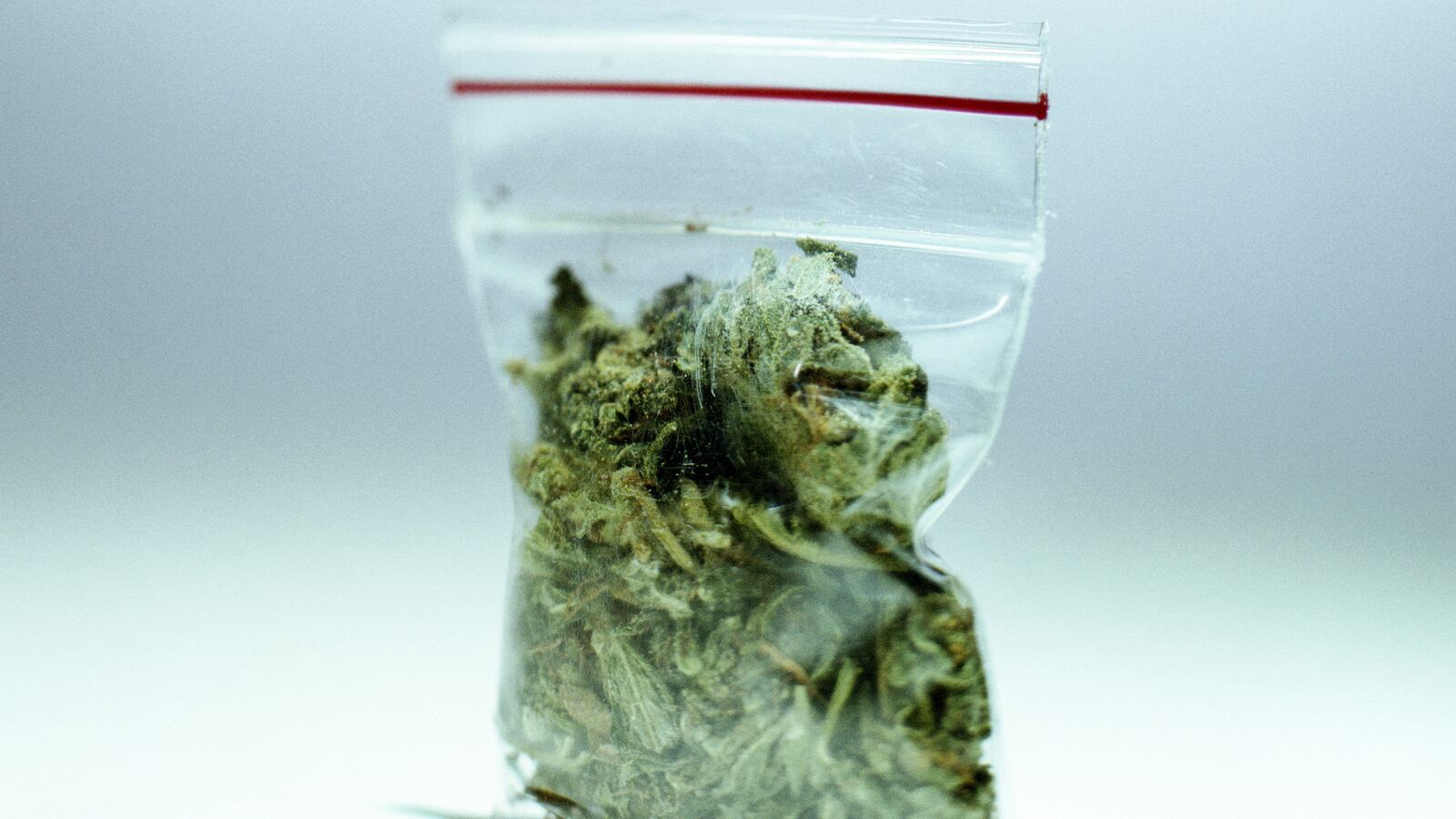 cheats/2013/09/06/synthetic-pot-behind-three-deaths/130829-weird-cheat-sheet-weedarrow_aqg0tf