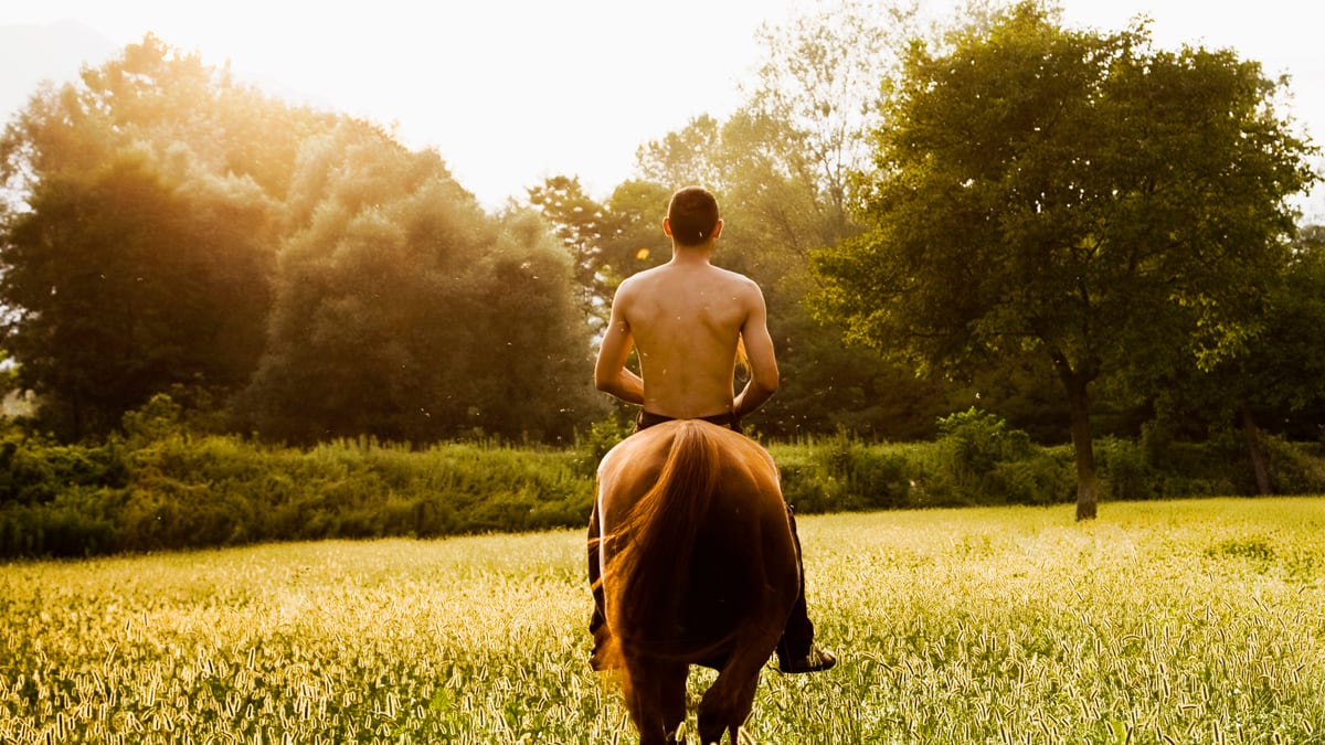 articles/2012/12/01/germany-weighs-bestiality-ban-amid-rise-of-pet-porn-animal-brothels/nadeau-bestiality-germany-tease_rrinxr